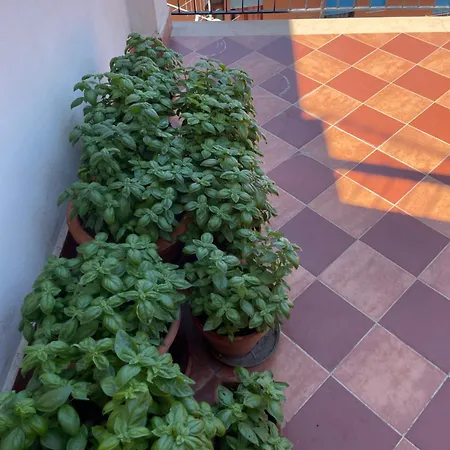 Ihre Ferienwohnung Mit Blick Aufs Meer * Gioiosa Marea